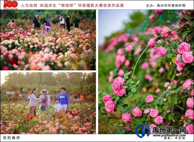禹州市“人与自然 和谐共生”“锦信杯”环保摄影大赛部分获奖作品展示 禹州市“人与自然 和谐共生”“锦信杯”环保摄影大赛部分获奖作品展示