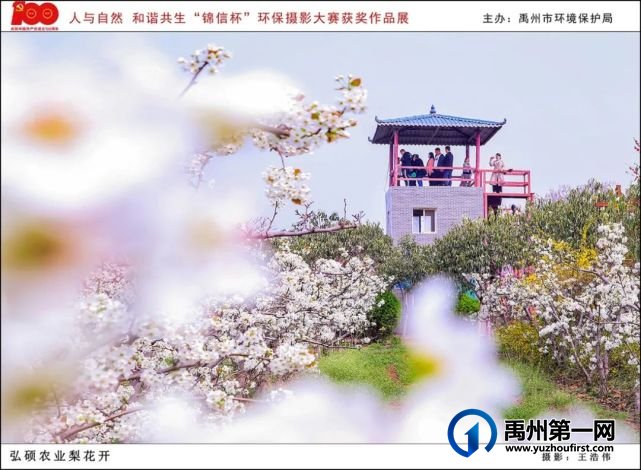 禹州市“人与自然 和谐共生”“锦信杯”环保摄影大赛部分获奖作品展示 禹州市“人与自然 和谐共生”“锦信杯”环保摄影大赛部分获奖作品展示