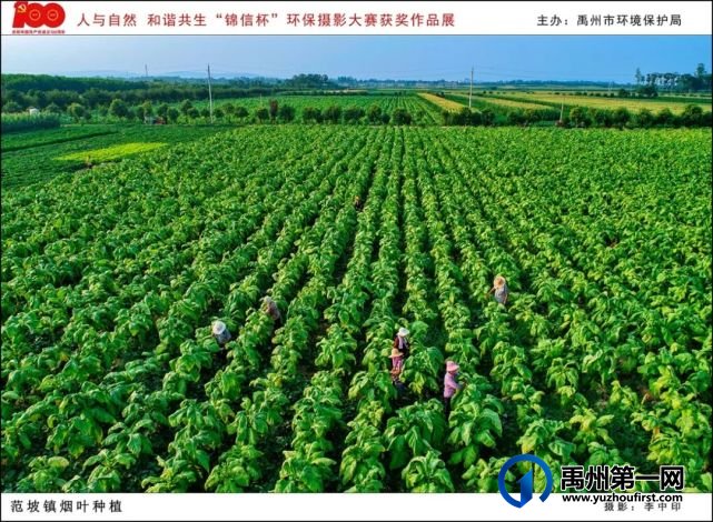 禹州市“人与自然 和谐共生”“锦信杯”环保摄影大赛部分获奖作品展示 禹州市“人与自然 和谐共生”“锦信杯”环保摄影大赛部分获奖作品展示