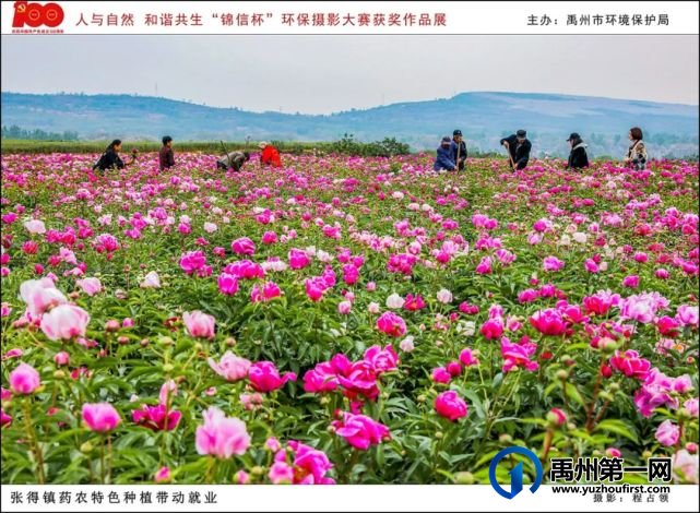 禹州市“人与自然 和谐共生”“锦信杯”环保摄影大赛部分获奖作品展示 禹州市“人与自然 和谐共生”“锦信杯”环保摄影大赛部分获奖作品展示