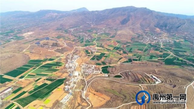 禹州市“三大引领”激活乡村振兴动能 禹州市“三大引领”激活乡村振兴动能