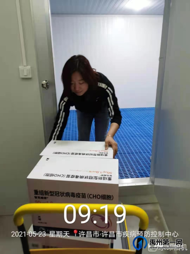 截止6月3日24时,禹州累计接种394128人 截止6月3日24时,禹州累计接种394128人