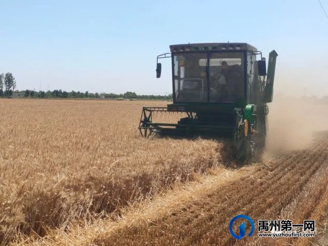 禹州秸秆回收再利用 变废为宝促增收 禹州秸秆回收再利用 变废为宝促增收
