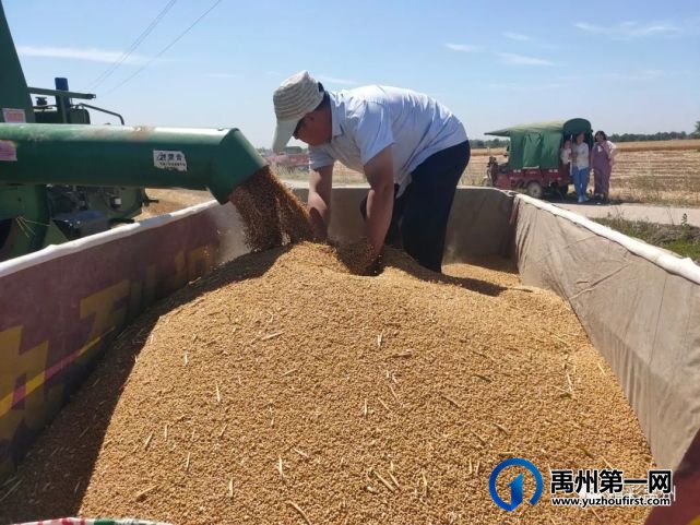 禹州秸秆回收再利用 变废为宝促增收 禹州秸秆回收再利用 变废为宝促增收