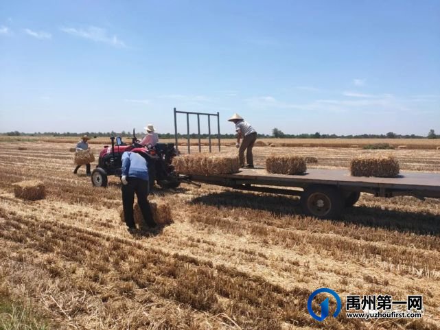 禹州秸秆回收再利用 变废为宝促增收 禹州秸秆回收再利用 变废为宝促增收