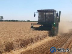 禹州秸秆回收再利用 变废为宝促增收