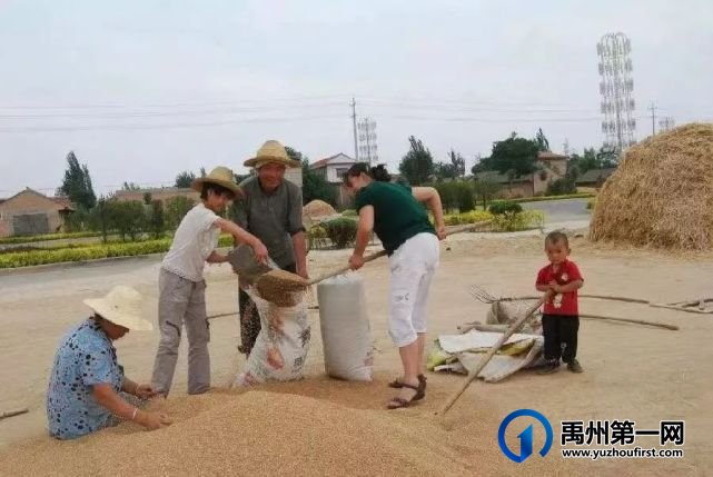 禹州:麦收时节的记忆 禹州:麦收时节的记忆