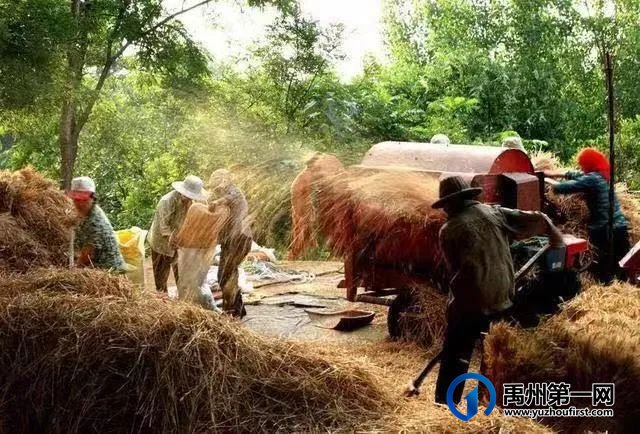 禹州:麦收时节的记忆 禹州:麦收时节的记忆