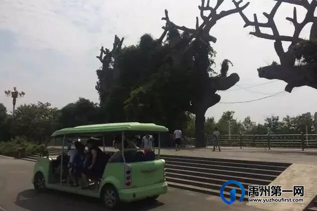 门票免费送!禹州植物园水上乐园开园啦! 门票免费送!禹州植物园水上乐园开园啦!