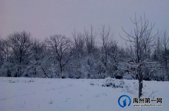 禹州祥云大道——家乡的幸福路 禹州祥云大道——家乡的幸福路