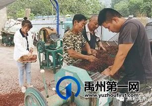 禹州乡村振兴路上药香四溢 禹州乡村振兴路上药香四溢