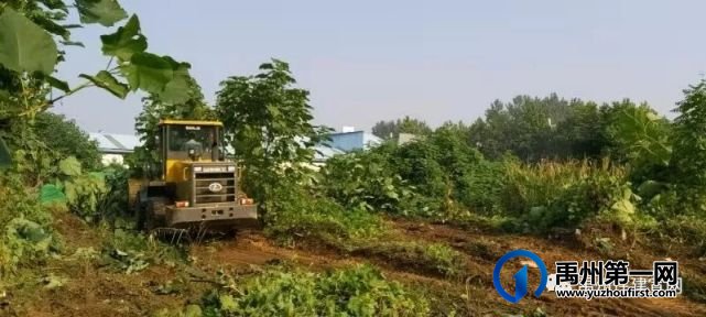 禹州市振兴路实现全线贯通! 禹州市振兴路实现全线贯通!