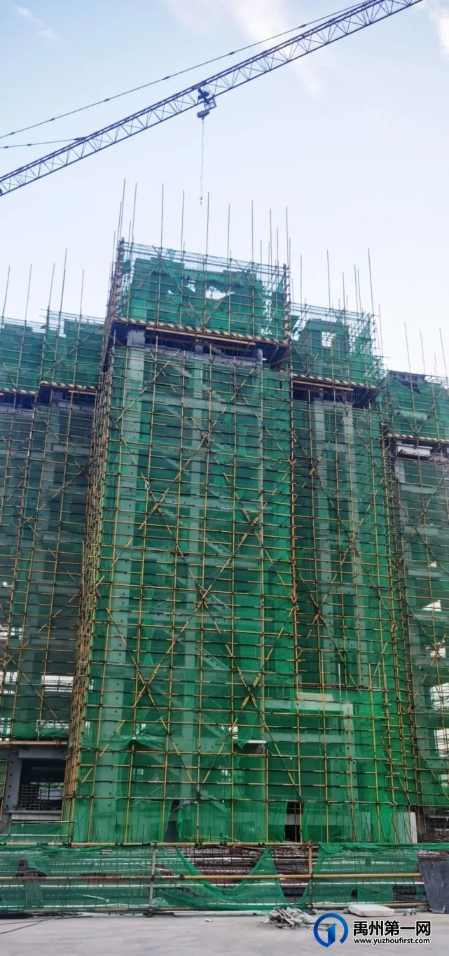 禹州建业大城小院6月家音播报丨盛夏绽放时,家书寄臻情 禹州建业大城小院6月家音播报丨盛夏绽放时,家书寄臻情