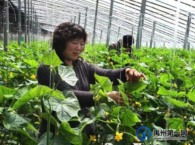 致力乡村振兴 筑梦幸福耿楼 致力乡村振兴 筑梦幸福耿楼