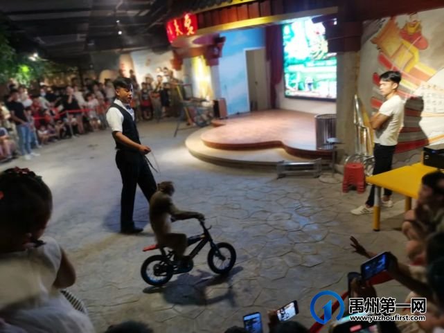 禹州恒达金郡业主品牌行活动圆满落幕 禹州恒达金郡业主品牌行活动圆满落幕