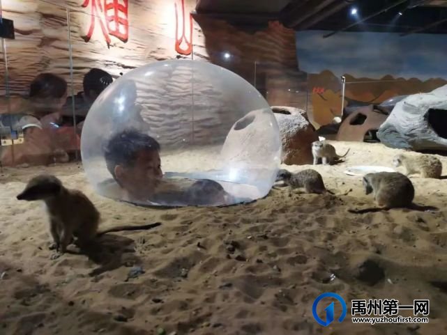 禹州恒达金郡业主品牌行活动圆满落幕 禹州恒达金郡业主品牌行活动圆满落幕