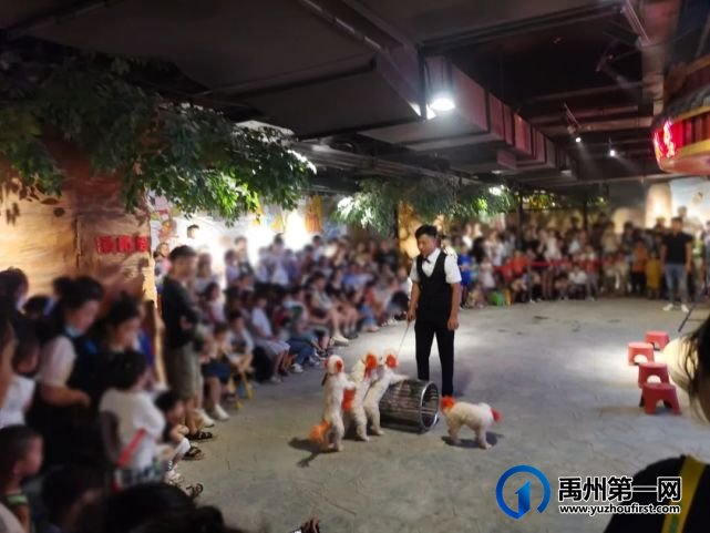 禹州恒达金郡业主品牌行活动圆满落幕 禹州恒达金郡业主品牌行活动圆满落幕