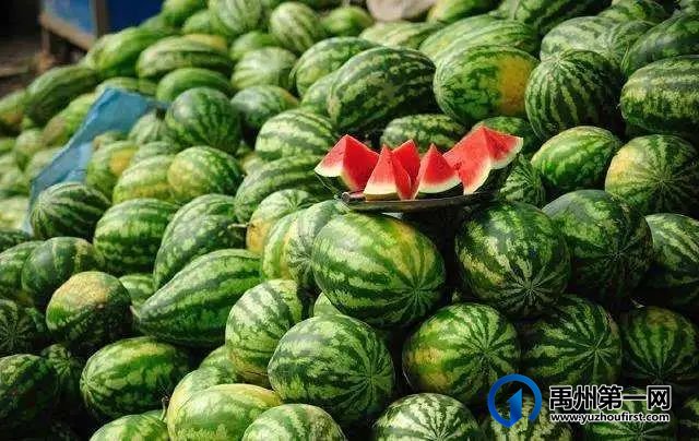 禹州天润府缤纷西瓜节,酷爽嗨翻天! 禹州天润府缤纷西瓜节,酷爽嗨翻天!