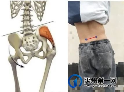 禹州市人民医院儿童康复暑期形体矫治训练班开始啦! 禹州市人民医院儿童康复暑期形体矫治训练班开始啦!