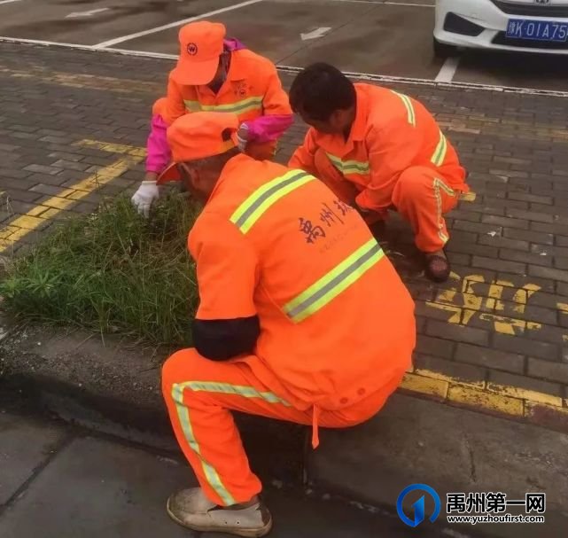 禹州环卫:优化市容环境卫生 倾力打造清爽夏季 禹州环卫:优化市容环境卫生 倾力打造清爽夏季