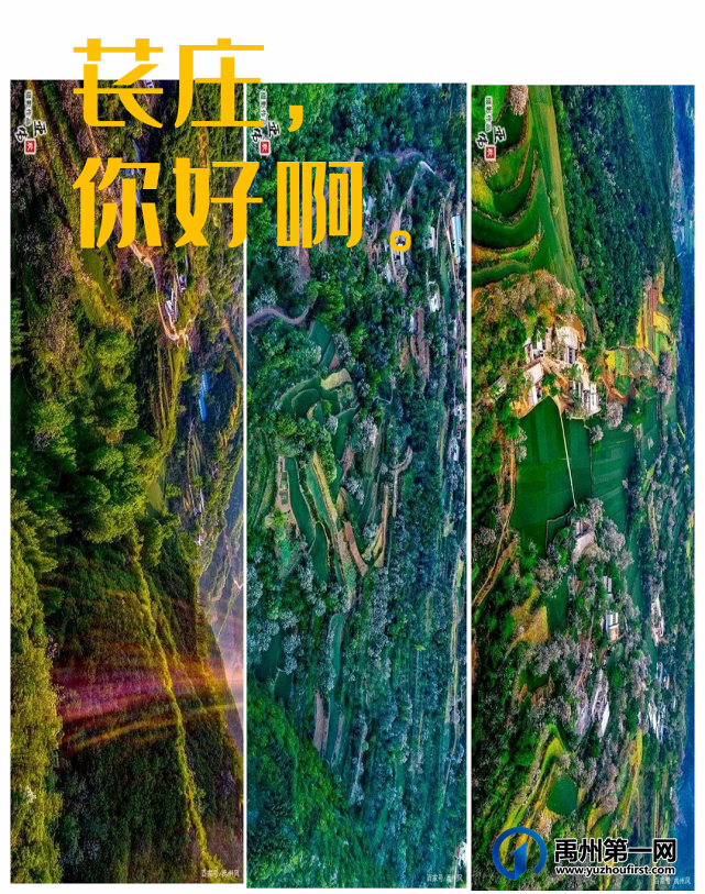 这,就是苌庄! 这,就是苌庄!