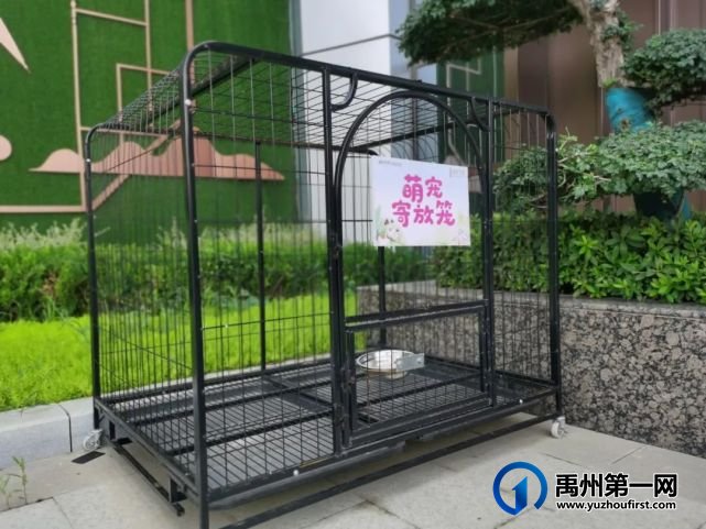 禹州恒达金郡│锻造美好,一次相遇,终身相约 禹州恒达金郡│锻造美好,一次相遇,终身相约