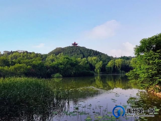 禹州恒达金郡│锻造美好,一次相遇,终身相约 禹州恒达金郡│锻造美好,一次相遇,终身相约