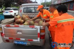 禹州环卫：夏日送清凉 温情暖心间