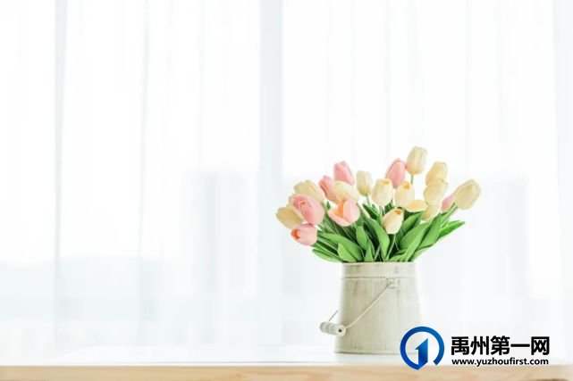 禹州绿城蘭亭瞰河头排丨盛藏26公里一线河景,3#恢弘面世! 禹州绿城蘭亭瞰河头排丨盛藏26公里一线河景,3#恢弘面世!