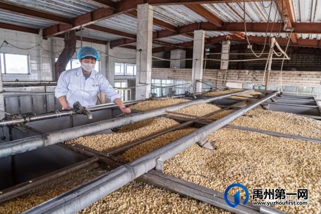 禹州市5个项目被列入第五批河南省非物质文化遗产代表性项目名录 禹州市5个项目被列入第五批河南省非物质文化遗产代表性项目名录