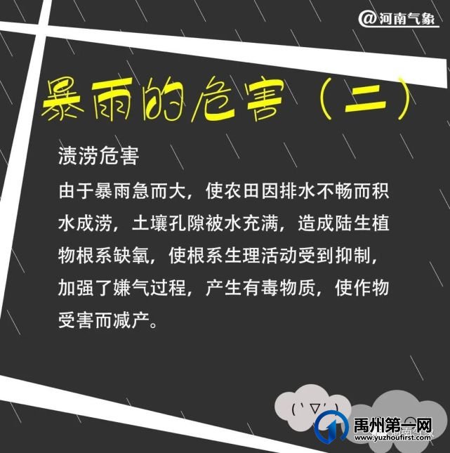闻“汛”而动 禹州市各单位积极迎战汛期大考 闻“汛”而动 禹州市各单位积极迎战汛期大考