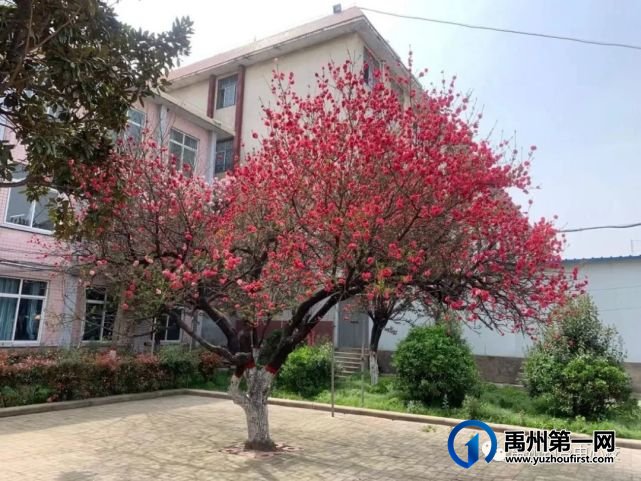 禹州市钧台中心学校七年级新生网报上传证件情况说明 禹州市钧台中心学校七年级新生网报上传证件情况说明