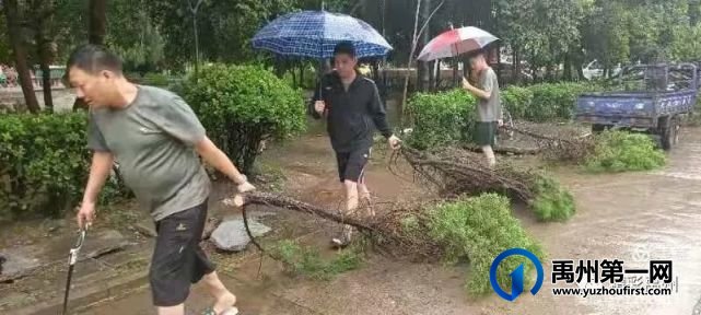 这就是咱禹州人民!感谢你们! 这就是咱禹州人民!感谢你们!