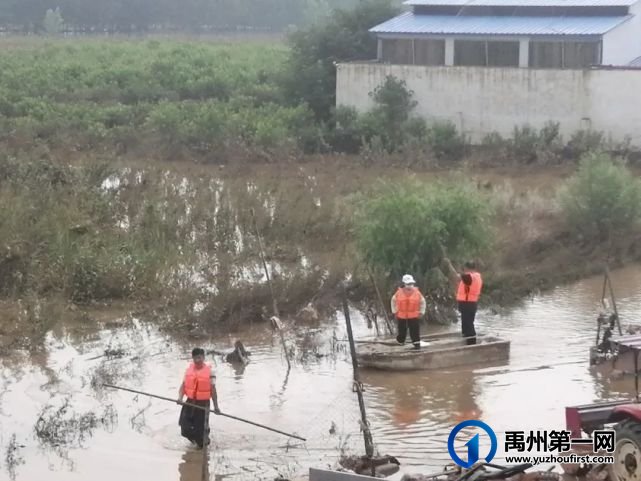禹州这些人紧急出动!连续6天奋战在抗洪一线! 禹州这些人紧急出动!连续6天奋战在抗洪一线!