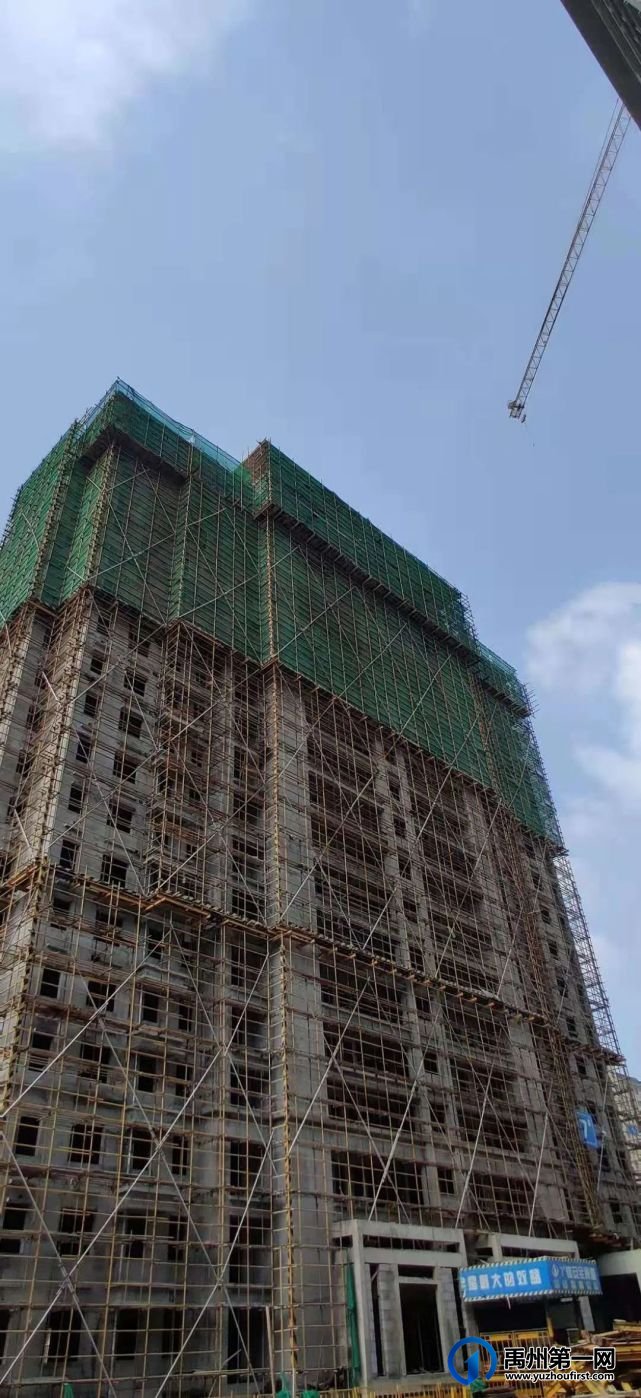禹州建业春天里7月家音播报丨夏意蔚然,共鉴美好 禹州建业春天里7月家音播报丨夏意蔚然,共鉴美好