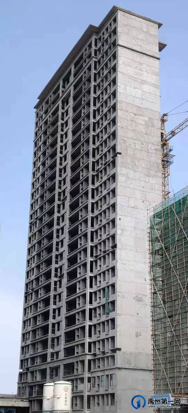 禹州建业春天里7月家音播报丨夏意蔚然,共鉴美好 禹州建业春天里7月家音播报丨夏意蔚然,共鉴美好