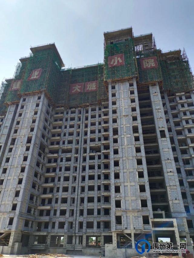 禹州建业大城小院7月家音播报丨蝉鸣知盛夏,时光聆家音 禹州建业大城小院7月家音播报丨蝉鸣知盛夏,时光聆家音