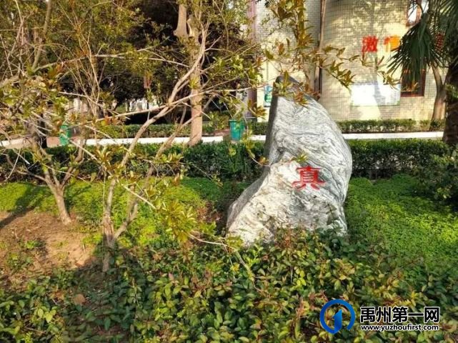给禹州四高高一新生的一封信 给禹州四高高一新生的一封信