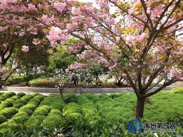 给禹州四高高一新生的一封信 给禹州四高高一新生的一封信