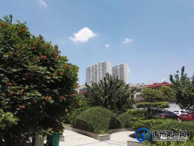 给禹州四高高一新生的一封信 给禹州四高高一新生的一封信