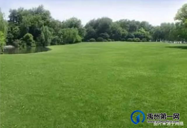 禹州新城升级,老城将退出时代舞台 禹州新城升级,老城将退出时代舞台