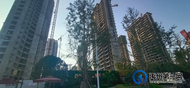 禹州信友天润府9月实景进度实拍 禹州信友天润府9月实景进度实拍