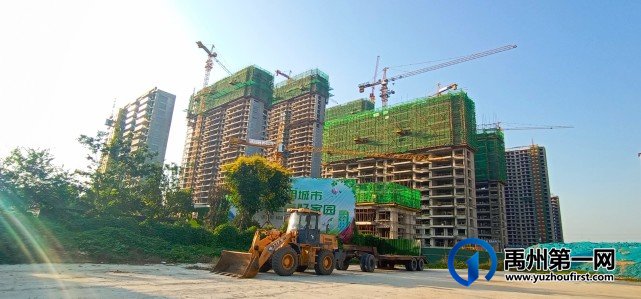 禹州碧桂园城市之光9月实景进度实拍