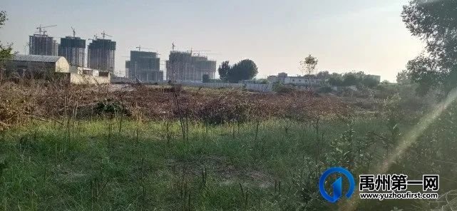禹州颍北新区5万人超大社区规模已形成! 禹州颍北新区5万人超大社区规模已形成!