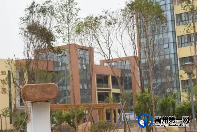 禹州一高┃走进知味园餐厅,探秘“舌尖上的诱惑” 禹州一高┃走进知味园餐厅,探秘“舌尖上的诱惑”