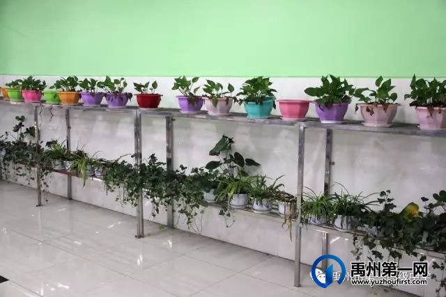 禹州一高┃走进知味园餐厅,探秘“舌尖上的诱惑” 禹州一高┃走进知味园餐厅,探秘“舌尖上的诱惑”