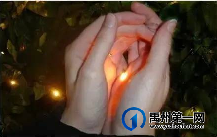 重磅!禹州夏都美食街惊现几万只萤火虫,引上万人围观. 重磅!禹州夏都美食街惊现几万只萤火虫,引上万人围观.