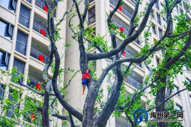 禹州信友天润公馆9月30日即将交付 禹州信友天润公馆9月30日即将交付