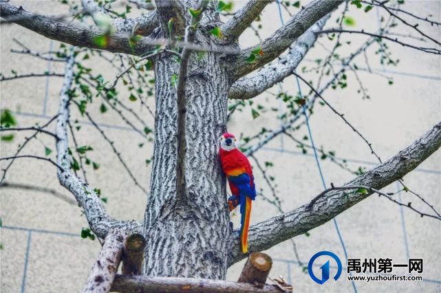 禹州信友天润公馆9月30日即将交付 禹州信友天润公馆9月30日即将交付