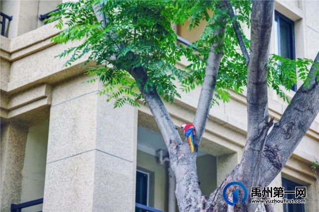 禹州信友天润公馆9月30日即将交付 禹州信友天润公馆9月30日即将交付